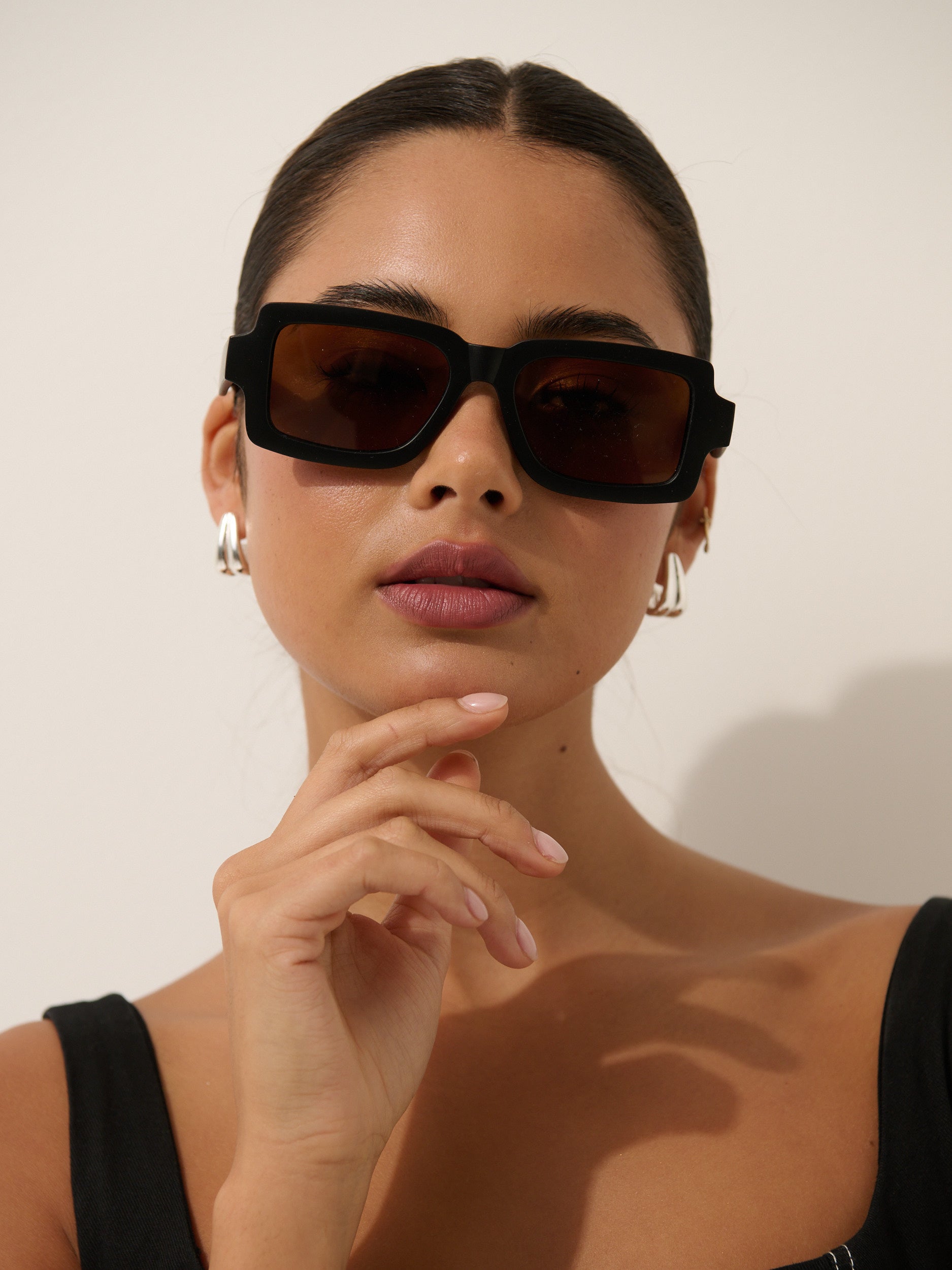 Sierra Sunglasses in Matte Black/Brown Lens
