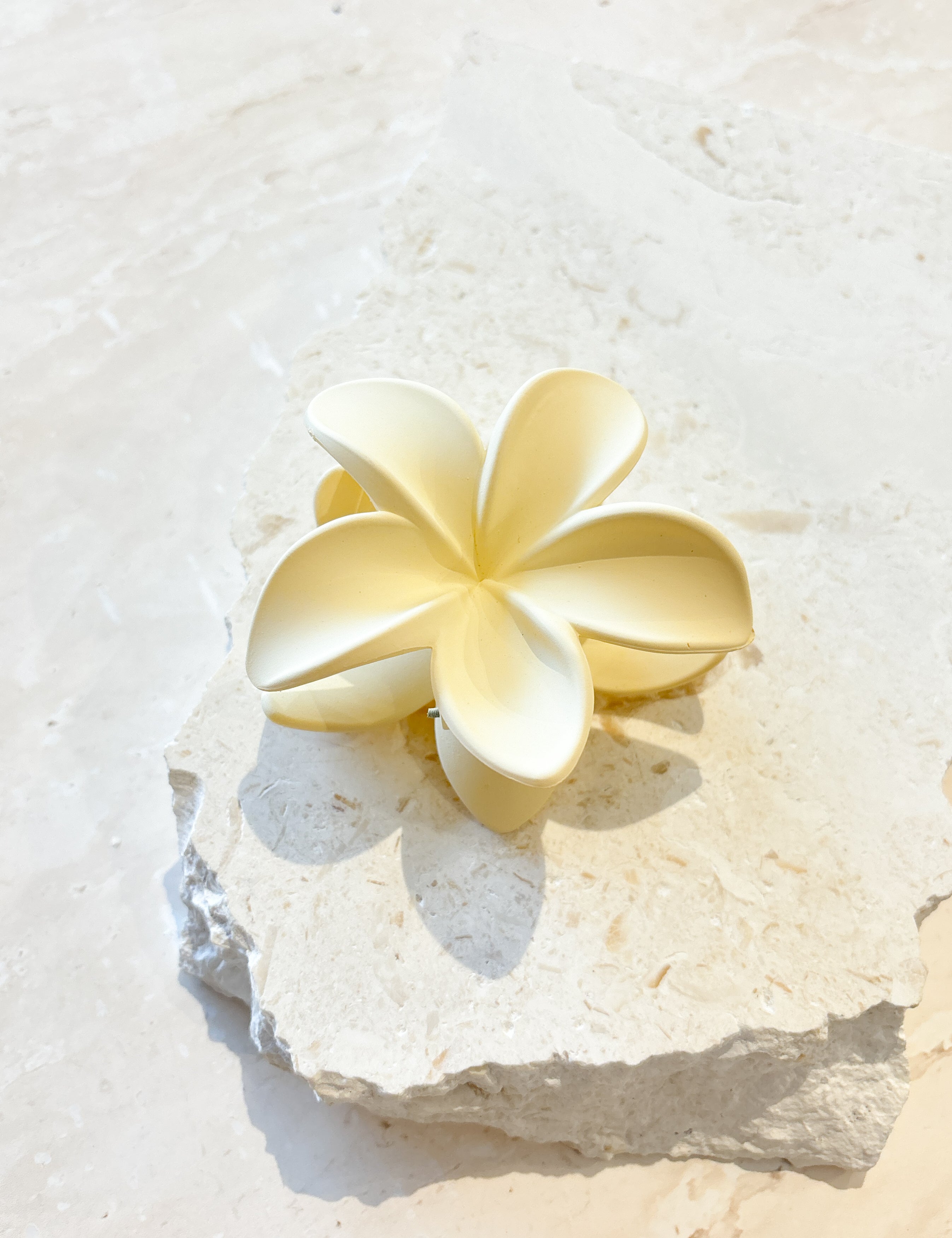 [Restocked] Hibiscus Matte Flower Claw Clips (4col)