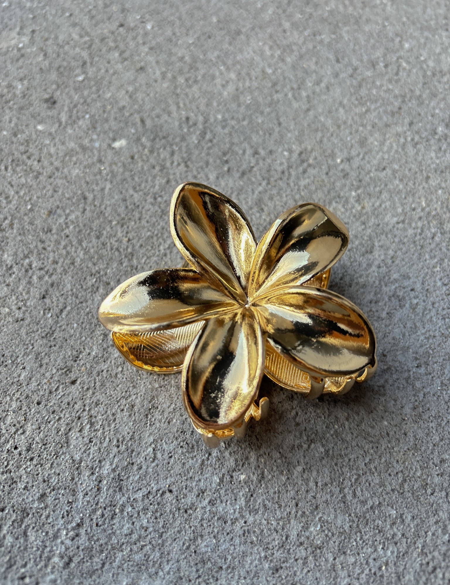 [Restocked] Hibiscus Metal Flower Claw Clips (2col)
