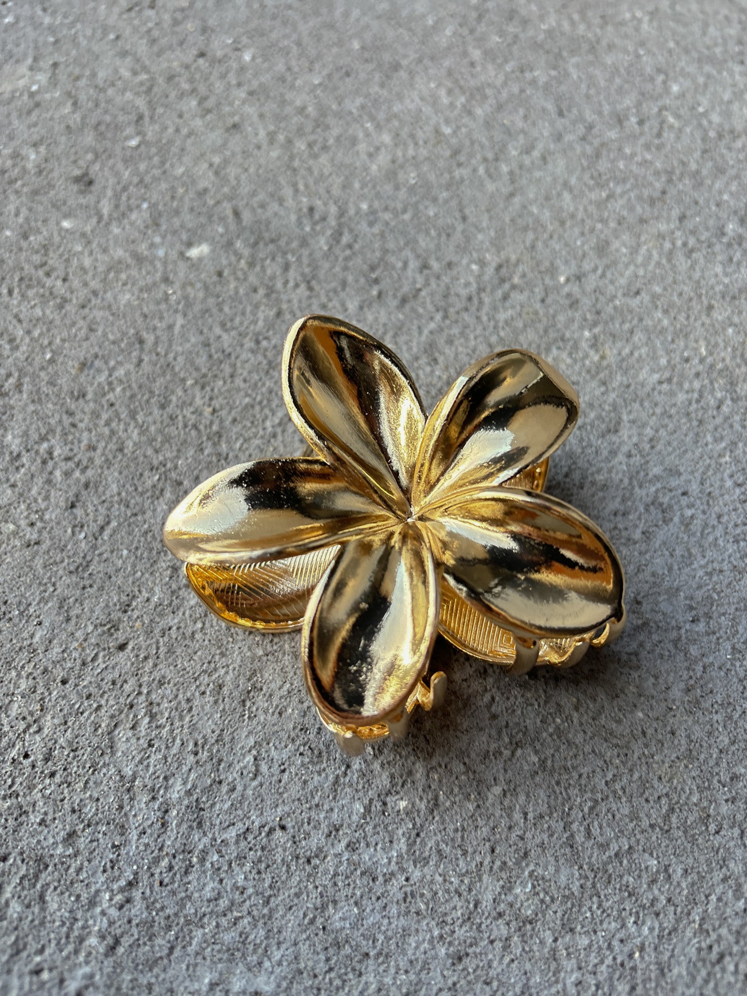 Hibiscus Metal Flower Claw Clips (2col)