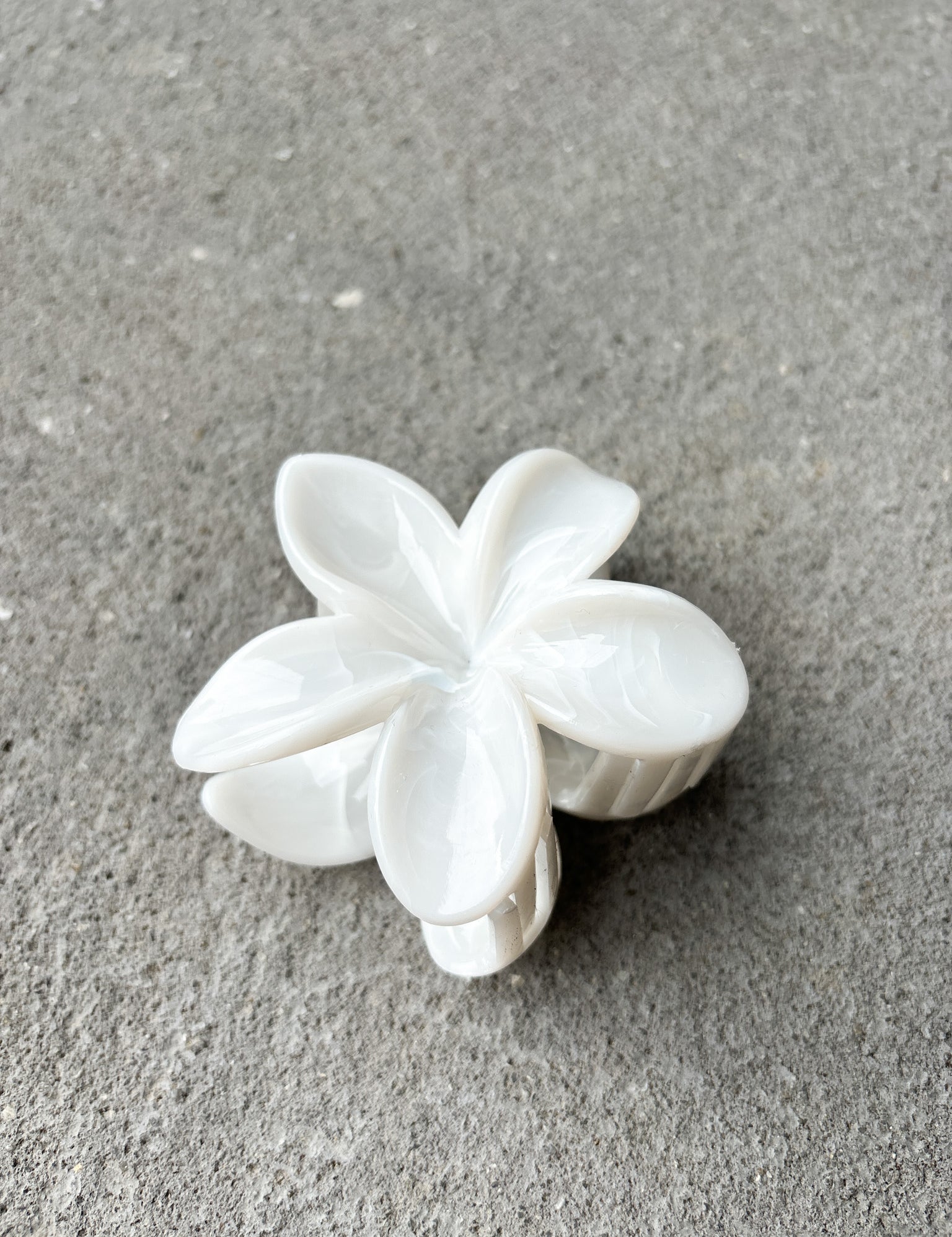 [Restocked] Hibiscus Resin Flower Claw Clips (3col)