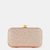 Romie Rhinestone Clutch Bag in Champagne
