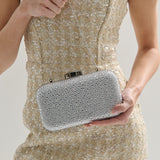 Romie Rhinestone Clutch Bag in Silver