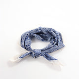 Indie Paisley Bandana Scarf