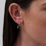 Maison Bow 18K Gold Plated Earrings
