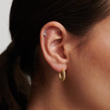 Aimee Embellished 18K Gold Plated Earrings