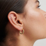 Aimee Embellished 18K Gold Plated Earrings