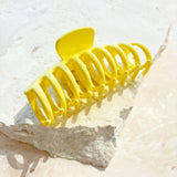 Regina Matte Claw Clip