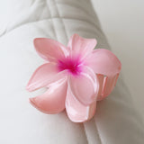 Aloha Flower Claw Clip (5col)
