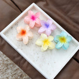 Aloha Flower Claw Clip (5col)