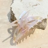 [Restocked] Luna Hair Claw Clip in Pink