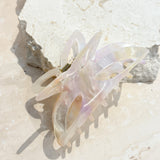 [Restocked] Luna Hair Claw Clip in Pink