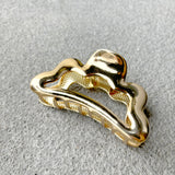 Liana Metal Hair Claw Clips (2col)