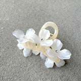 Florence Hair Claw Clips (3col)
