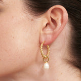 Twist Pearl Drop 18K Gold Plated Earrings