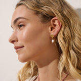 Clamshell Pearl 18K Gold Plated Earrings