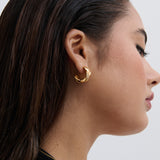 Embellished Braid 18K Gold Plated Earrings