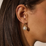 Classic Pearl 18K Gold Plated Earrings