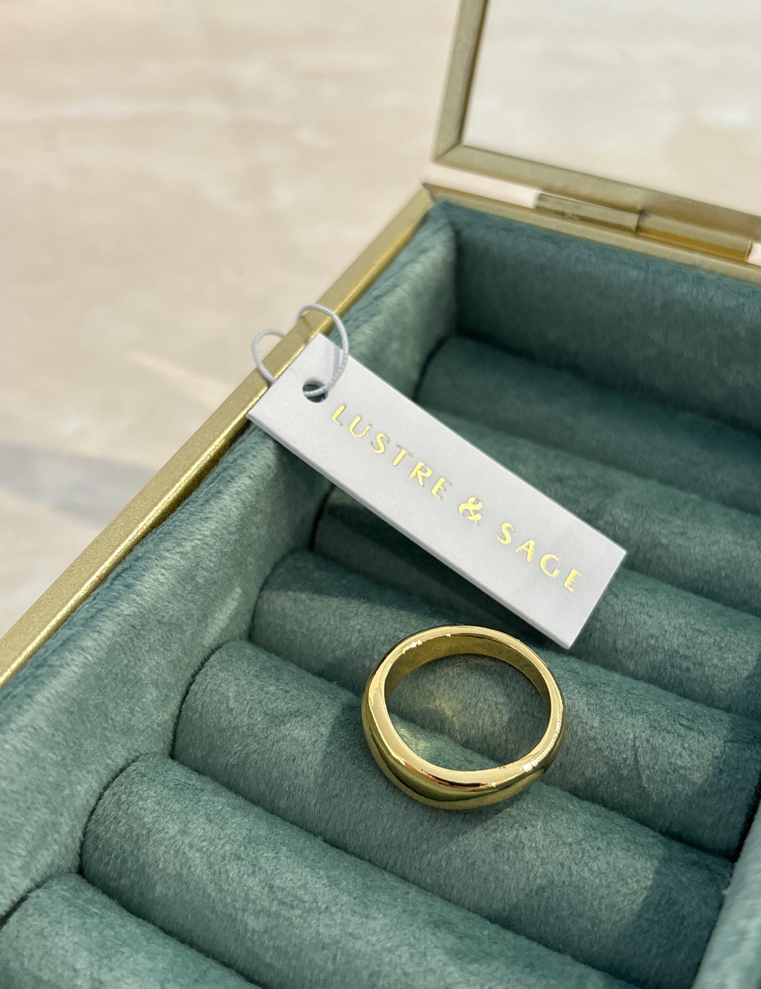 Everyday Classic 18K Gold Plated Ring (2size)