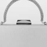 Nuvia Duo Top Handle Clutch Bag in Silver
