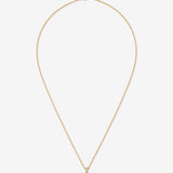 Selene Starfish Gold Plated Necklace