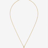 Elara Clam Shell Gold Plated Necklace