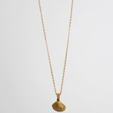 Elara Clam Shell 18K Gold Plated Necklace