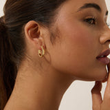 Flat Twist 18K Gold Plated Earrings