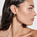 Aina Statement Stud Earrings in Brown
